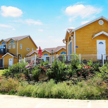 Healing House Villa Seogwipo Exterior photo