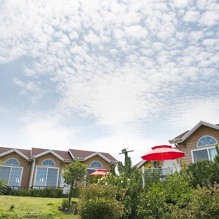 Healing House Villa Seogwipo Exterior photo