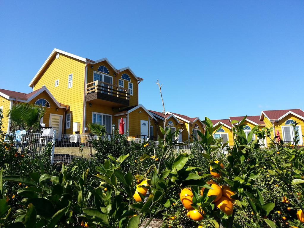 Healing House Villa Seogwipo Exterior photo